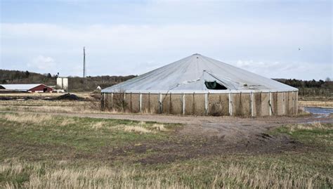 Gylletank .